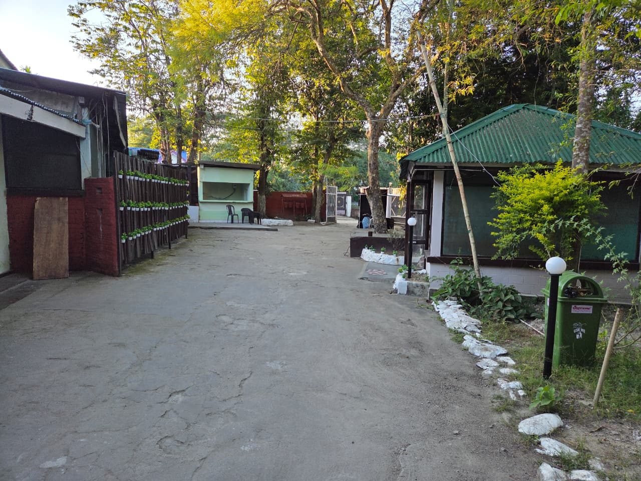 Garden pathway in daylight
